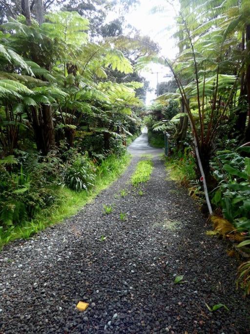 Upcountry Volcano Mountain Cottage Exterior photo