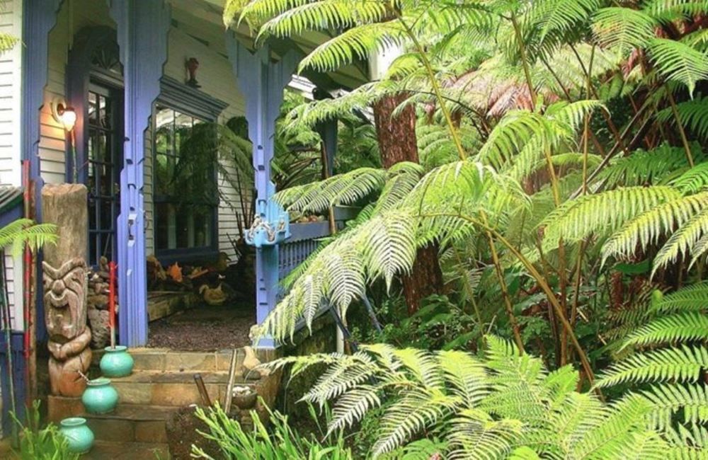 Upcountry Volcano Mountain Cottage Exterior photo